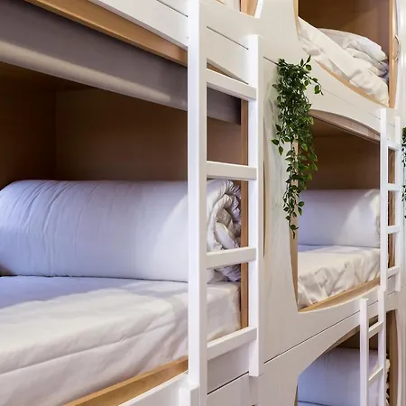 The Mulberry Tree Hostel *