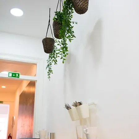 The Mulberry Tree Hostel