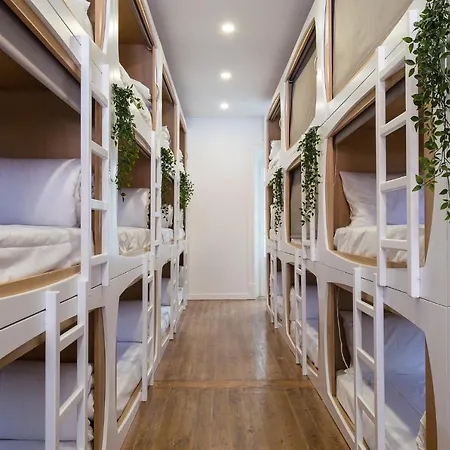 The Mulberry Tree Hostel Lizbona