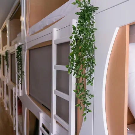 The Mulberry Tree Hostel Lissabon